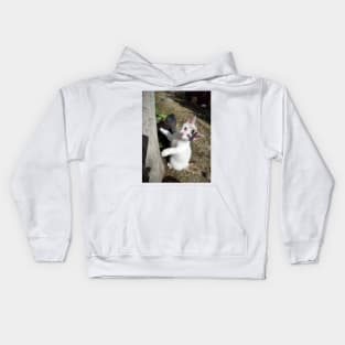 Susie the cat is curious Kids Hoodie